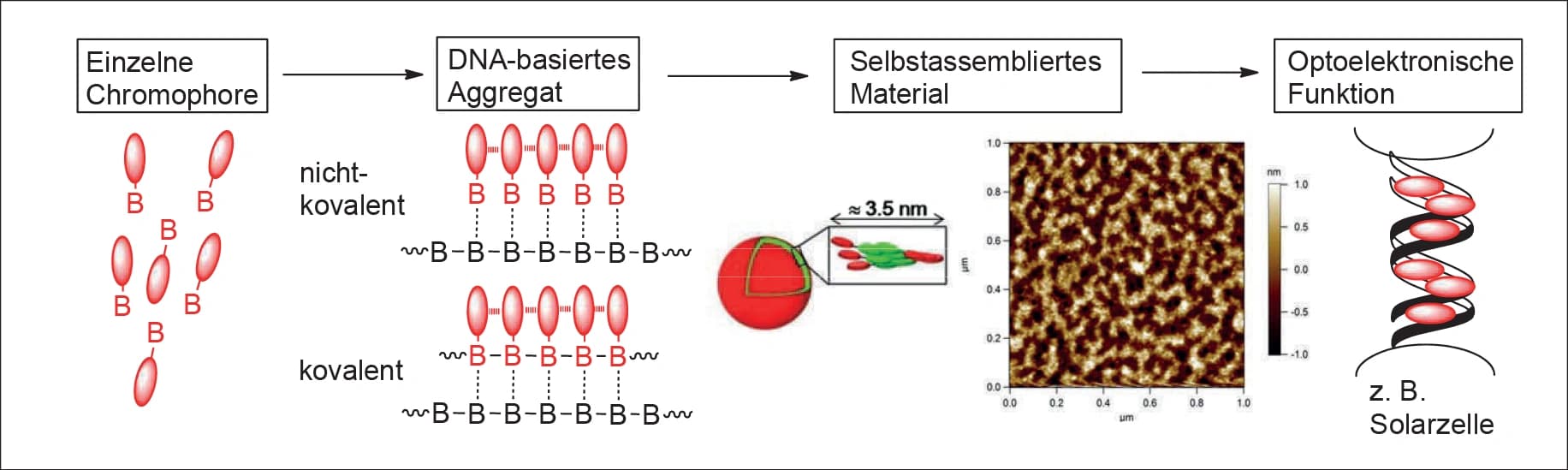 Aus DNA wird Solarzelle