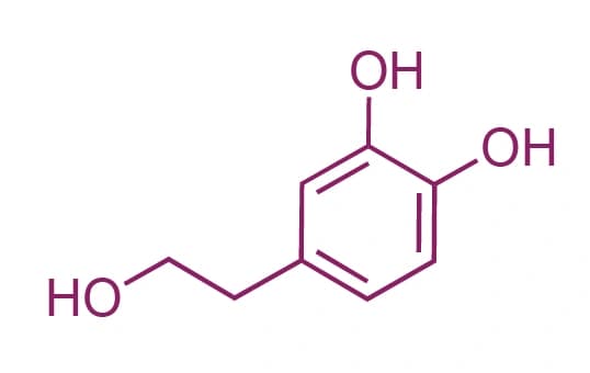 Bremser und Beschützer – das Antioxidans Hydroxytyrosol