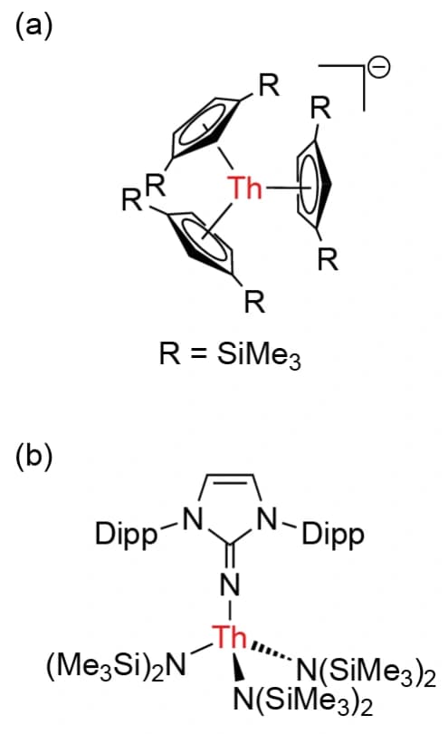 Koordinationschemie und Bioanorganik