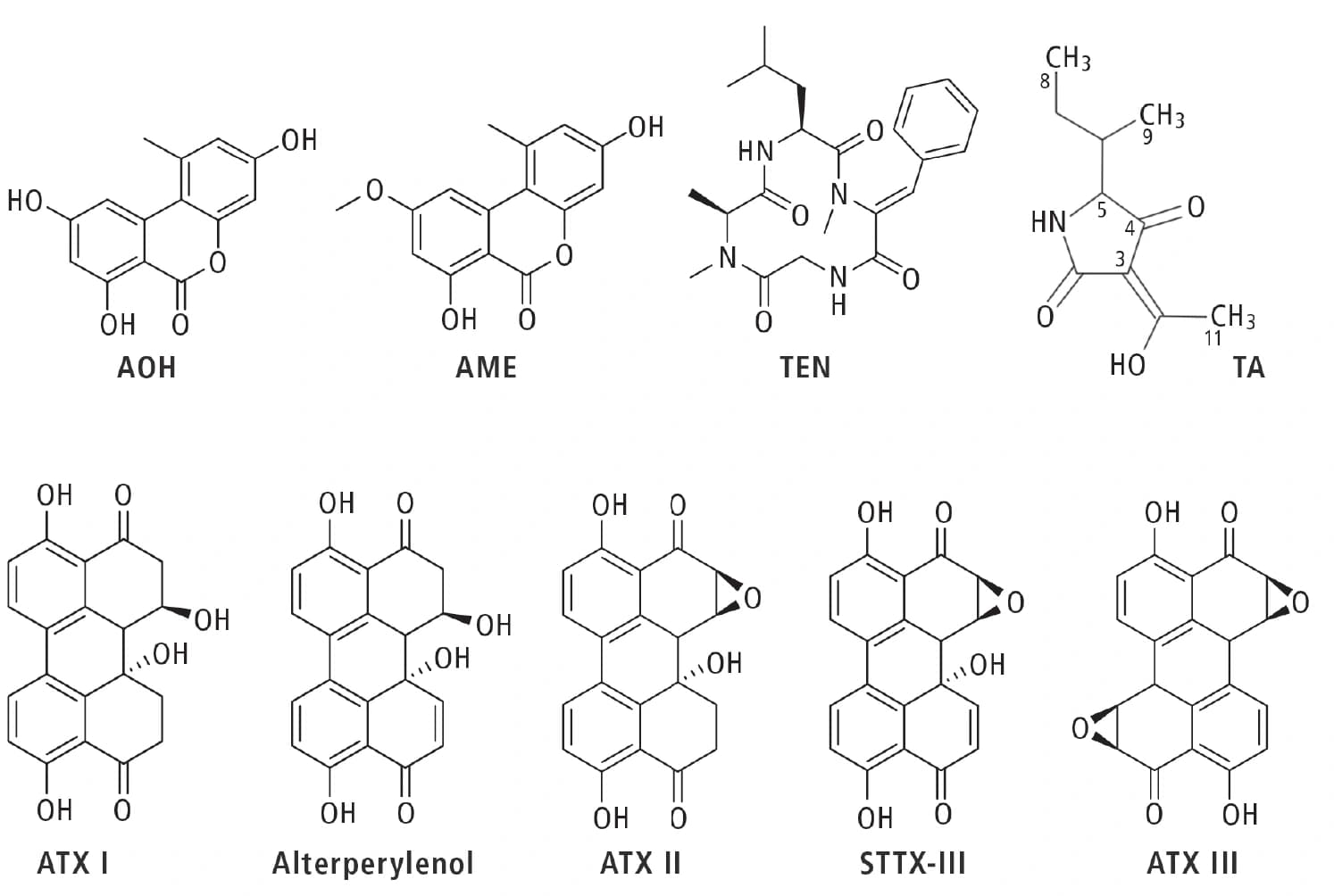 Alternaria‐Toxine treten in Erscheinung