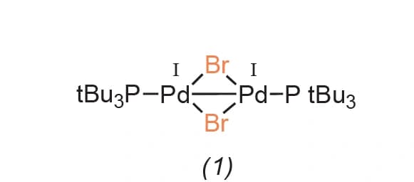 Kreuzkuppeln mit Palladium(I)‐Dimeren