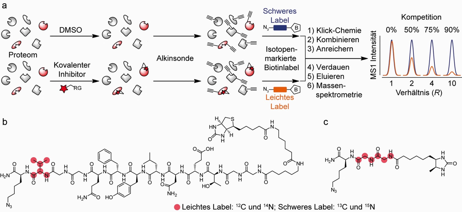 Trendbericht Biochemie: Kovalente Proteinliganden