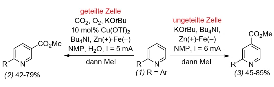 Pyridin elektrochemisch carboxyliert