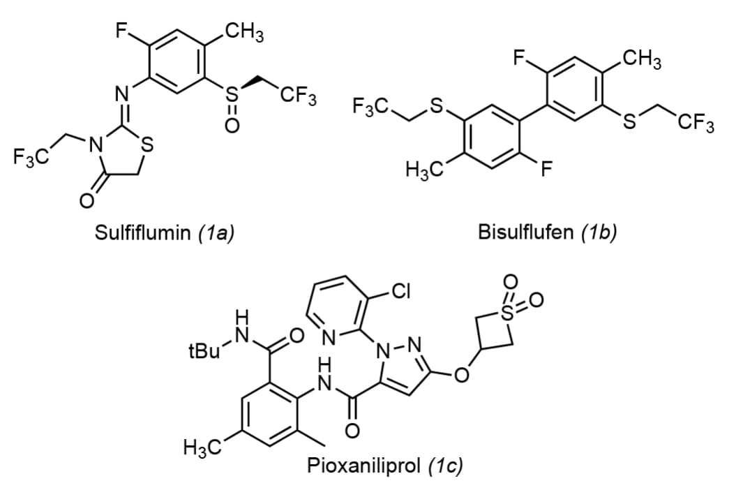 Trendbericht Organische Chemie 2024