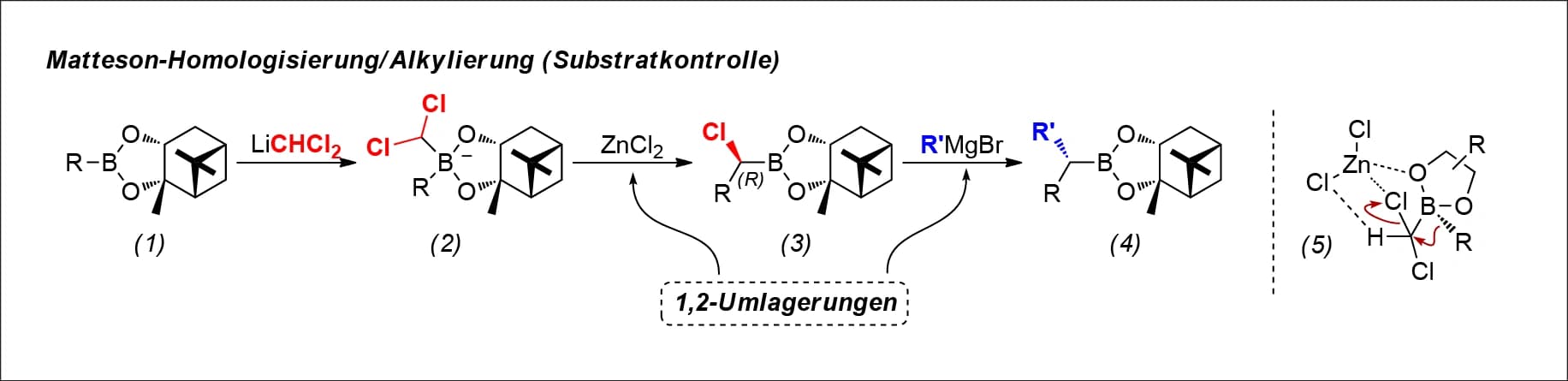 Blickpunkt Synthese: Polyketide am Fließband