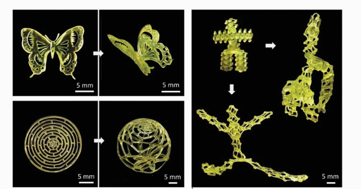 Superzähe supramolekulare Hydrogele 3-D-drucken