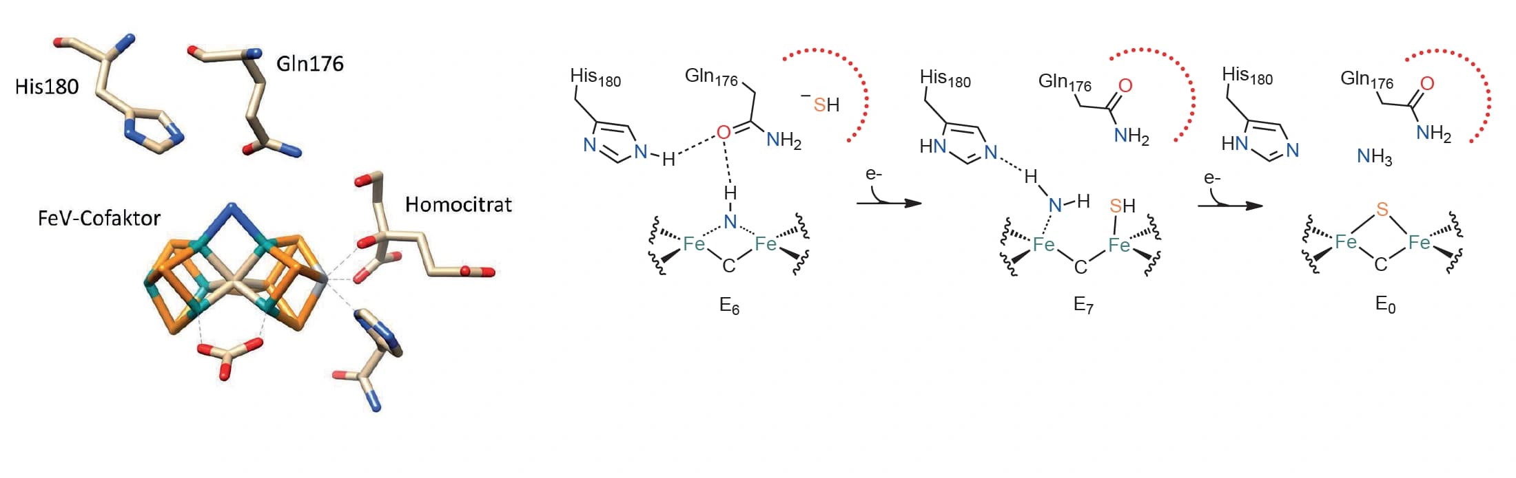 Trendbericht Anorganische Chemie: Bioanorganische und Koordinationschemie