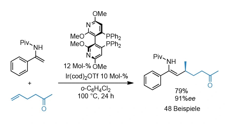 Hydroalkenylierung mit Enamiden