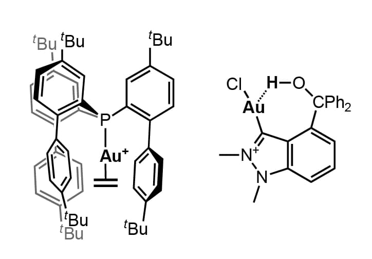 Nebengruppen und Koordinationschemie, Bioanorganik und mehr