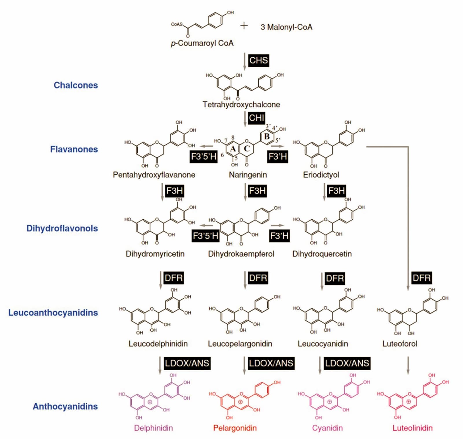 Natürlich‐nachhaltiges Nano