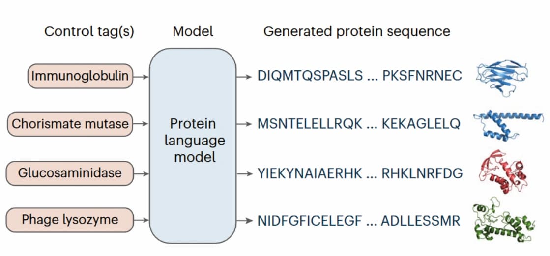 Computer erfindet Enzyme