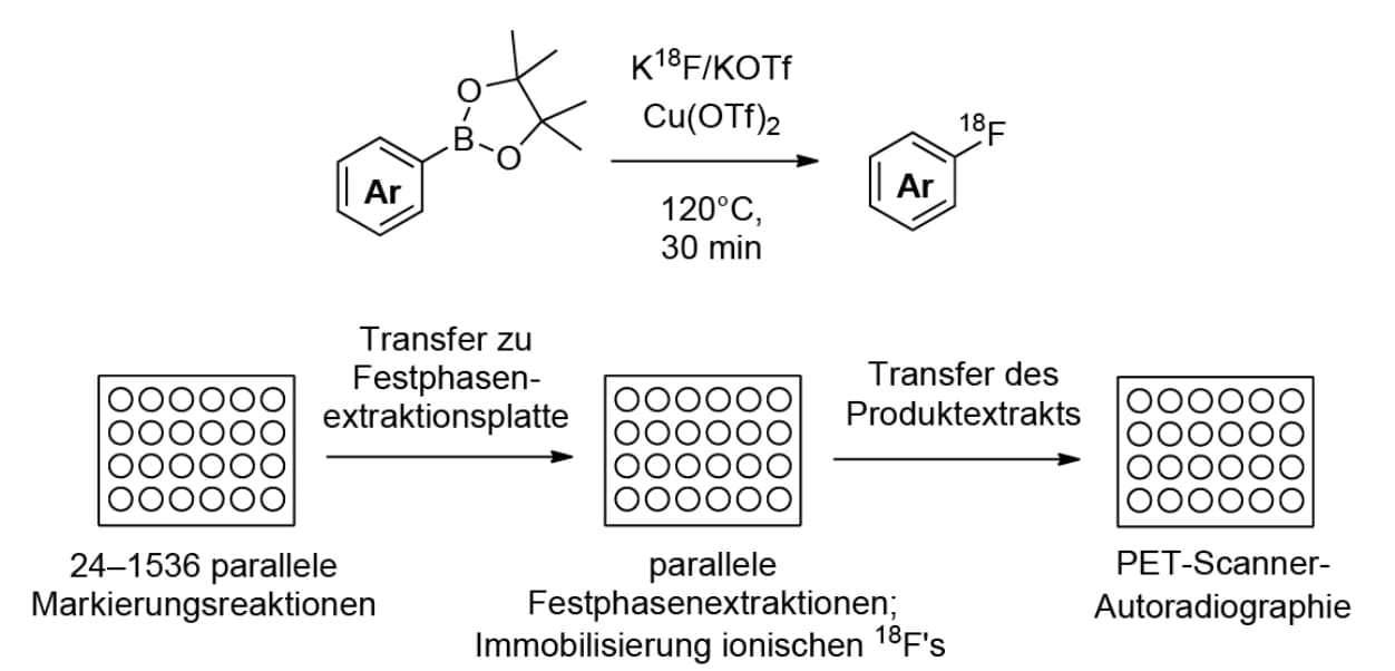 Radiofluorierung hochdurchsatzoptimiert