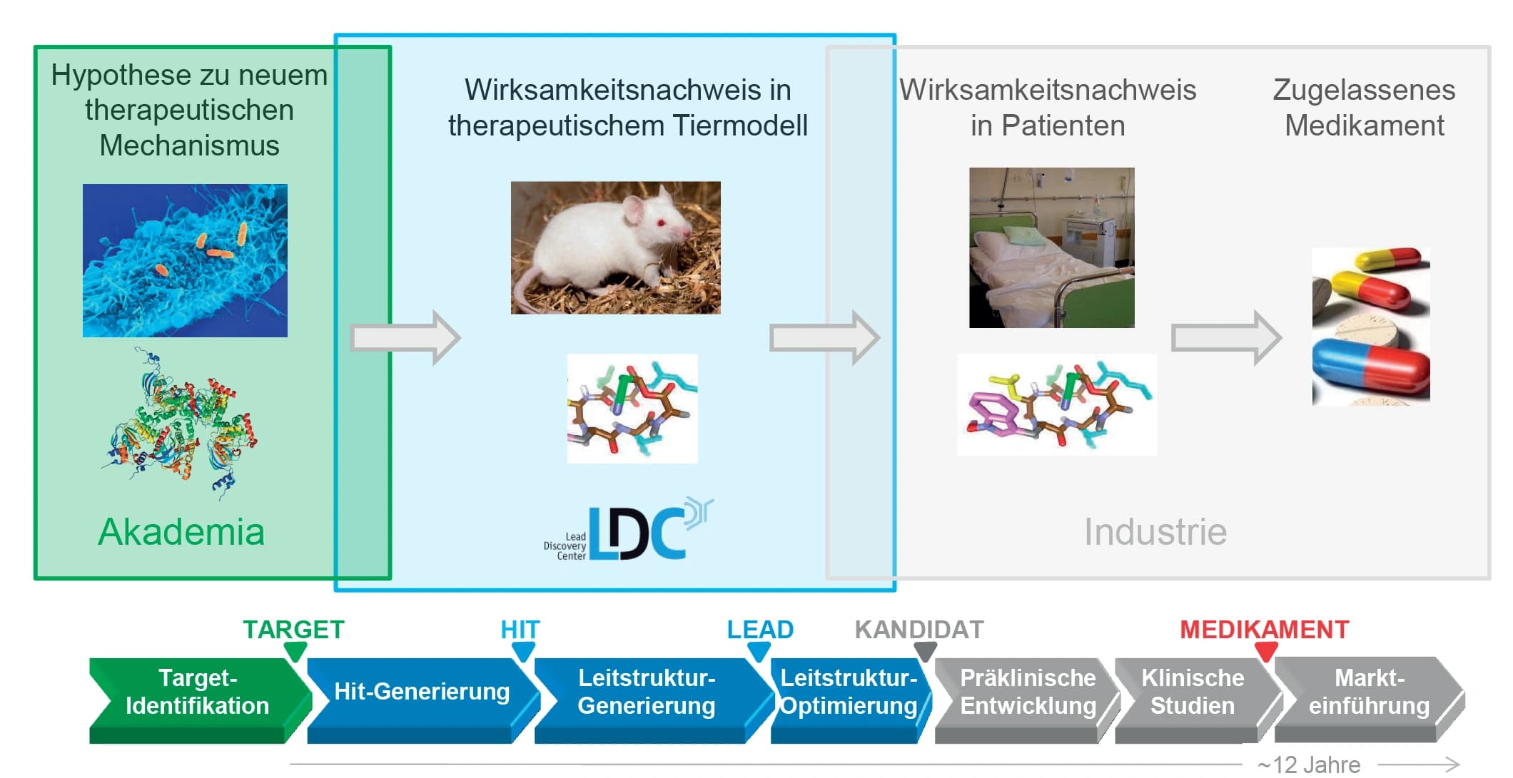 Wege zu neuen Medikamenten