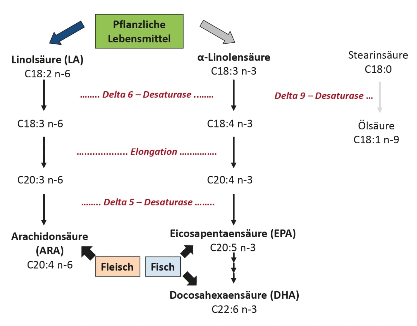 Lebensmittelchemie