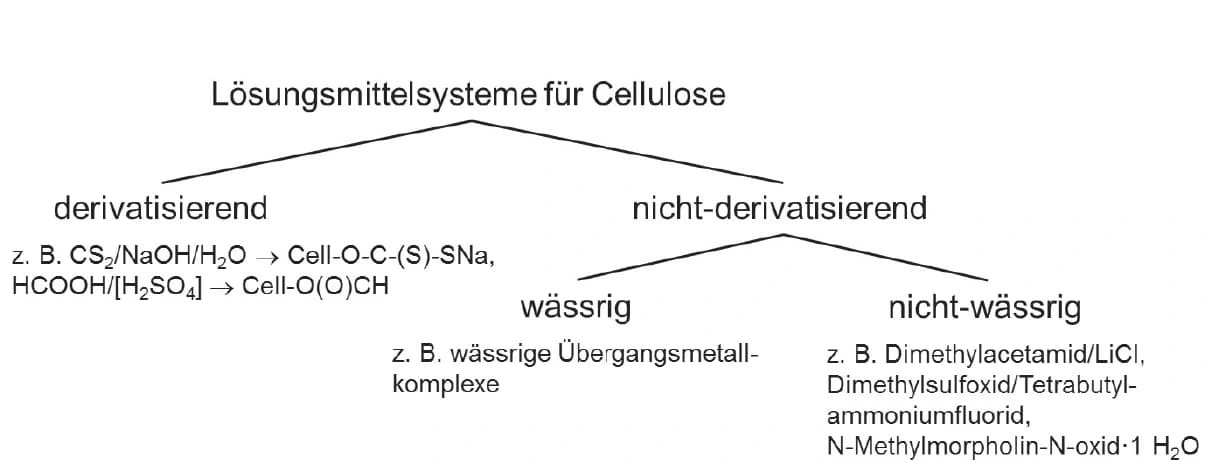 Biopolymere aus ionischen Flüssigkeiten verarbeiten