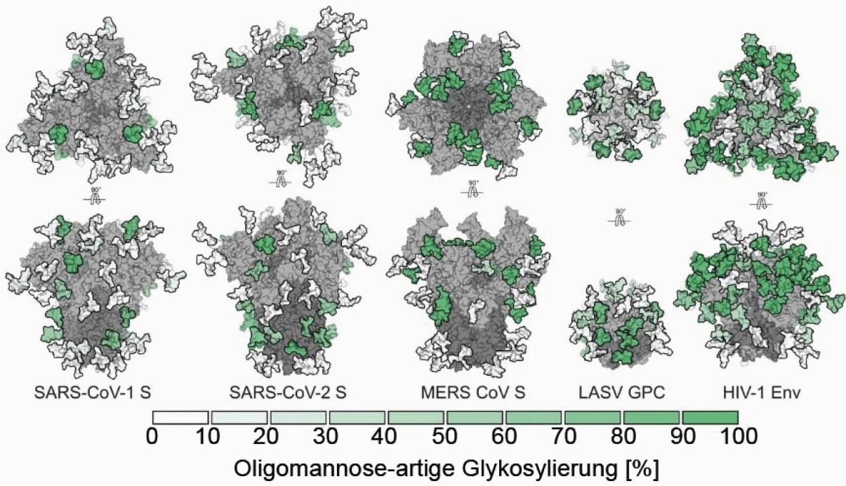 Trendbericht Biochemie: Massenspektrometrie gegen Viren