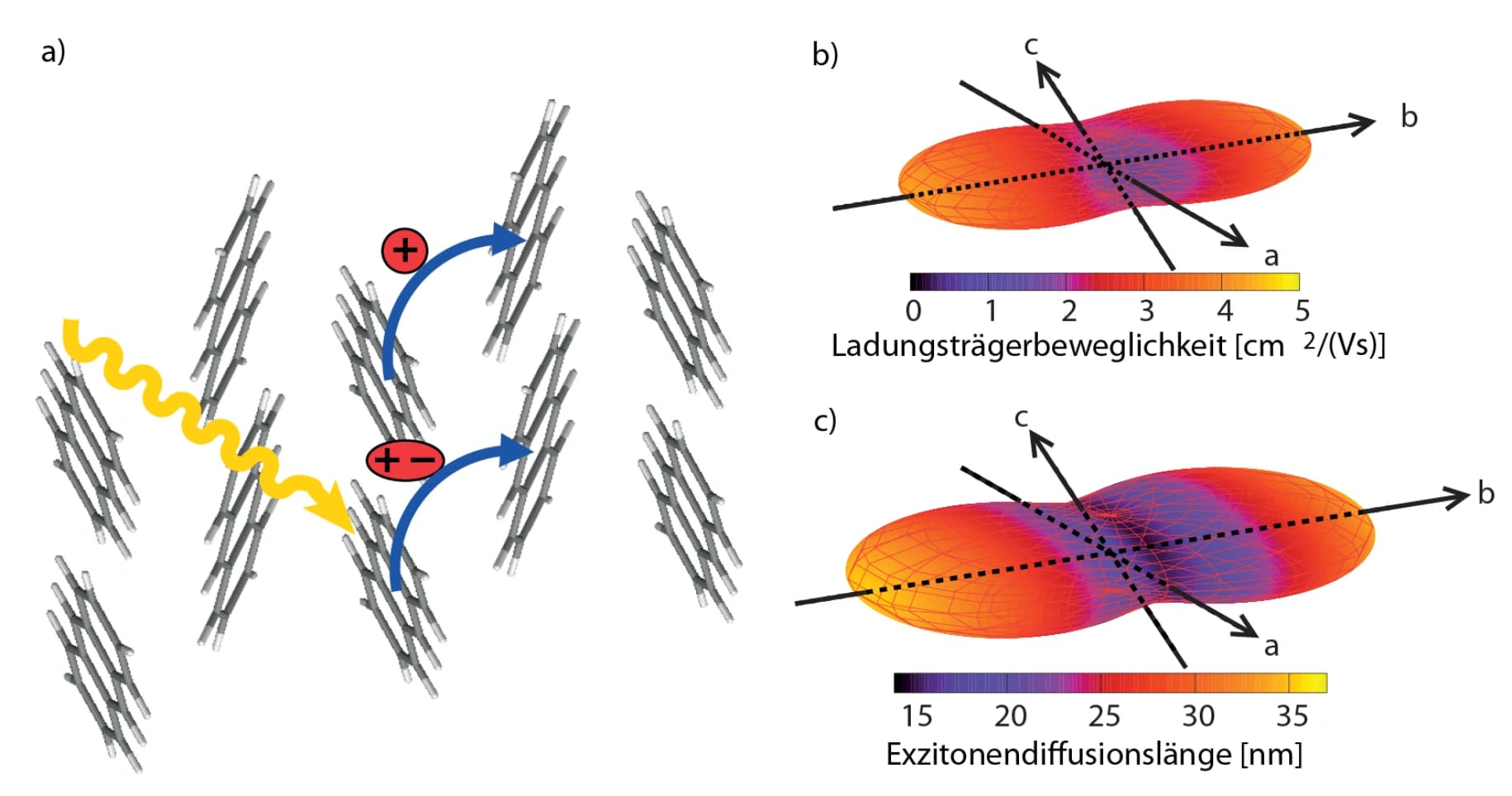 Energie‐ und Ladungstransport in molekularen Materialien