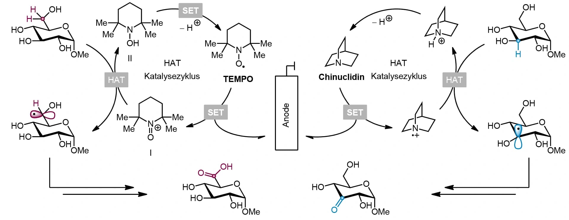 Zucker elektrochemisch oxidieren