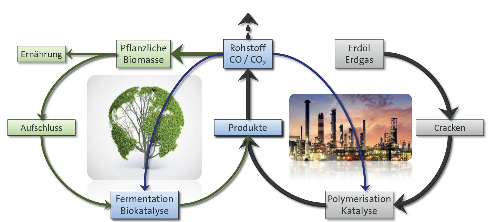 Rohstoffbasis: CO und CO2 biotechnisch verwerten