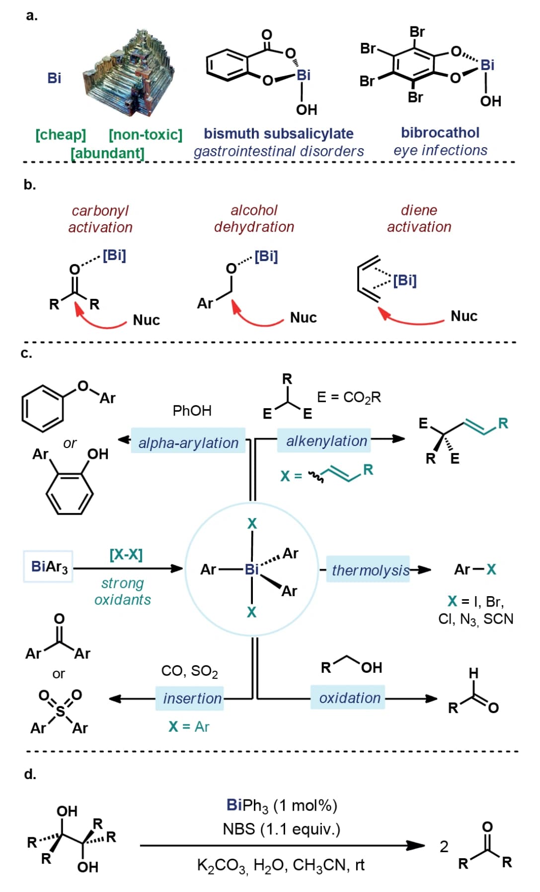 High‐valent bismuth redox catalysis