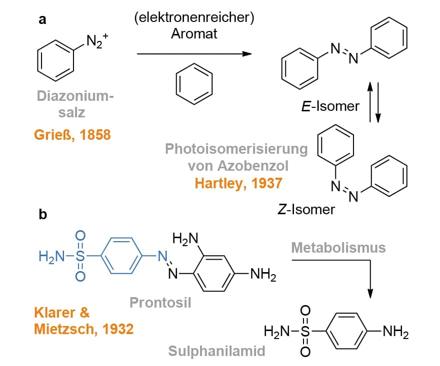 Ein Farbstoff wird zur biologischen Sonde