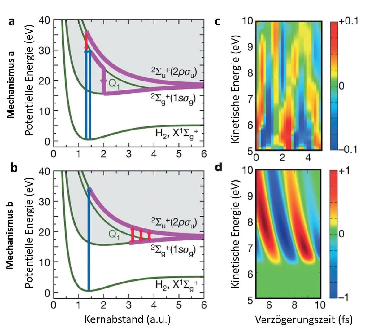 Trendbericht Physikalische Chemie: Chemie auf der Attosekunden‐Zeitskala