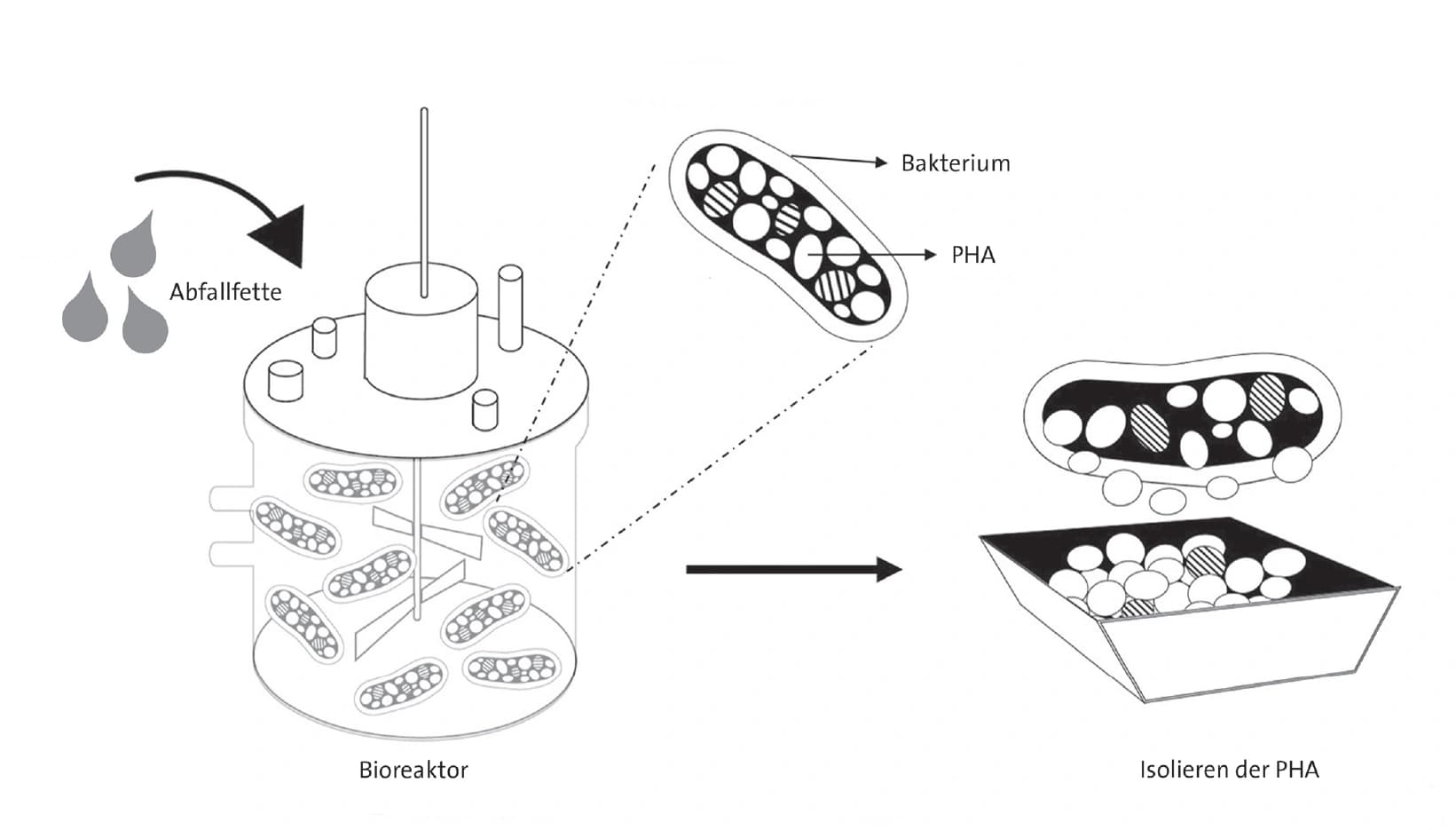 Bioökonomie: Aus Resten schöpfen