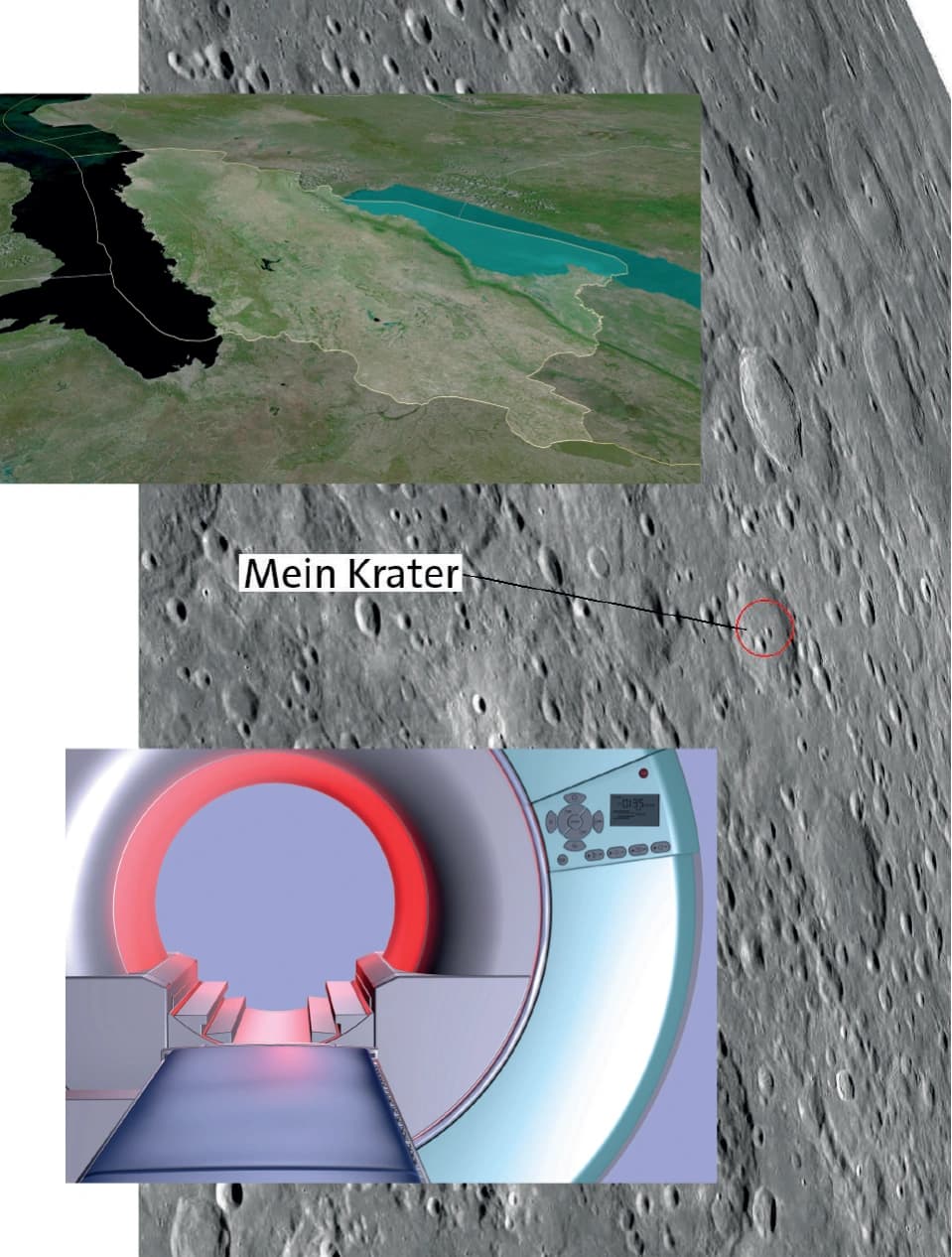 Das soeben eingeschulte Element