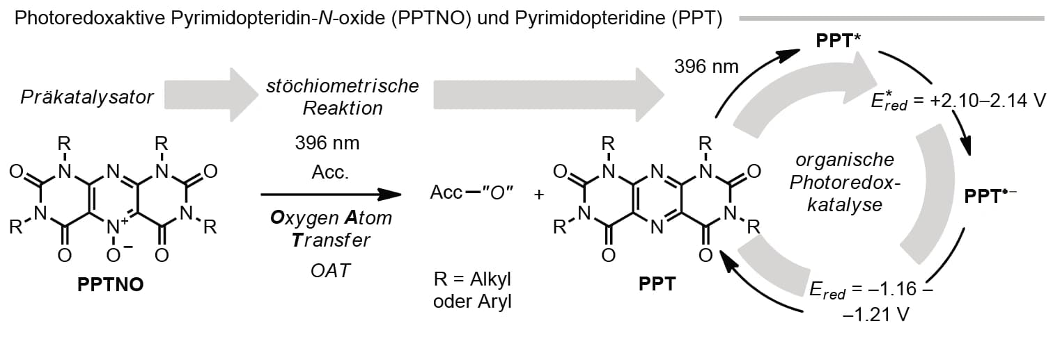 Funktionalisieren mit Licht