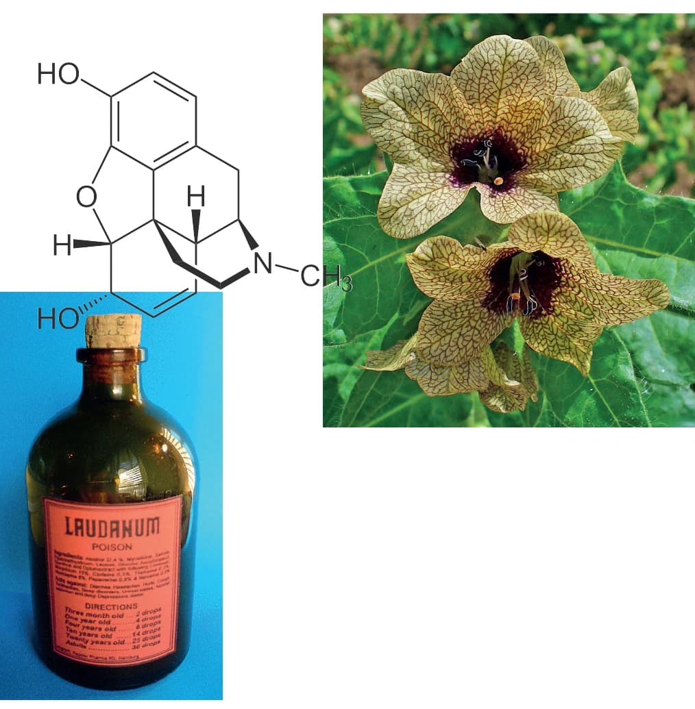 Meilensteine der Chemie 2020