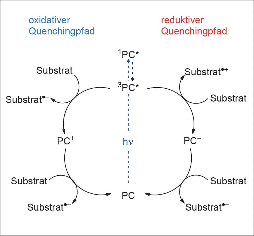 Zwei‐Photonen‐Absorption auf Umwegen