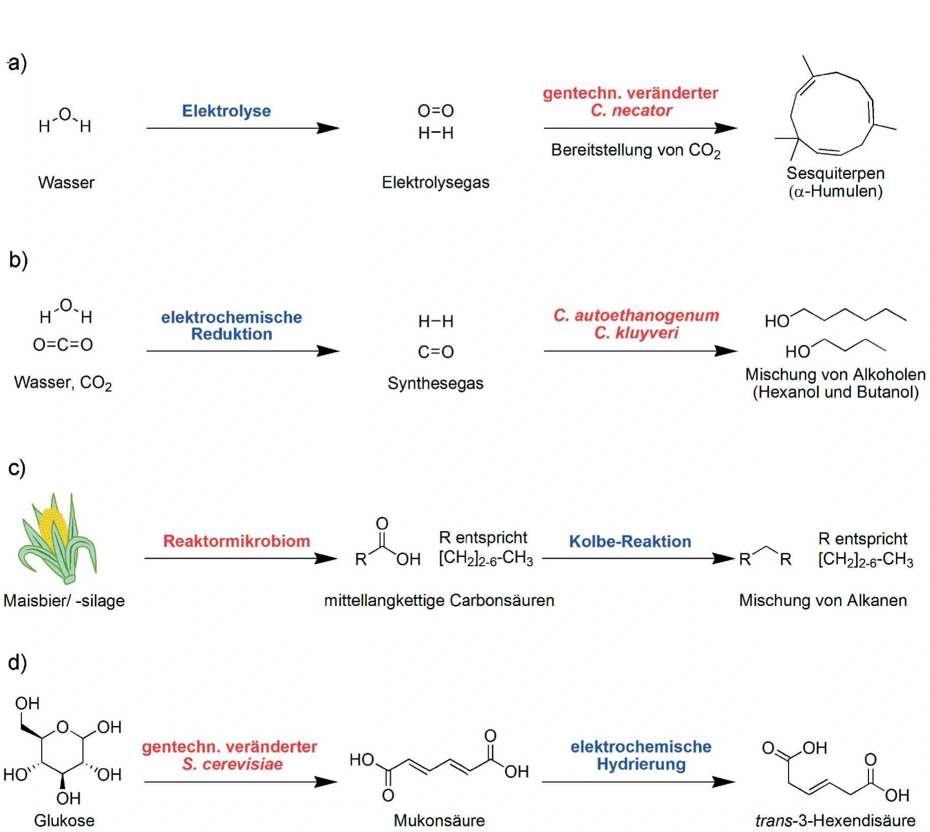 Trendbericht Biochemie Teil 5: Biochemie unter Strom